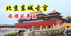 男人操女人的逼网站视频中国北京-东城古宫旅游风景区